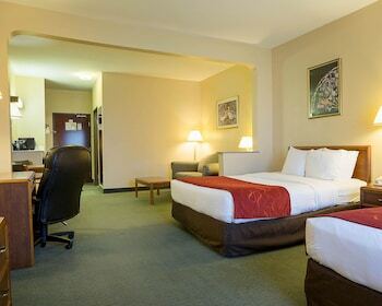 Hotel Comfort Suites La Porte