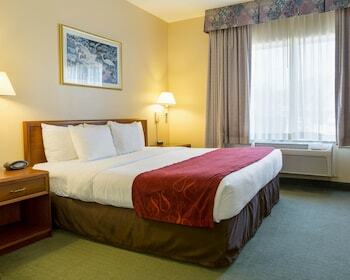 Hotel Comfort Suites La Porte