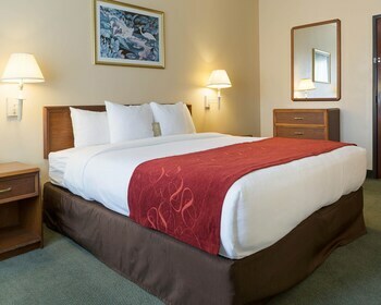 Hotel Comfort Suites La Porte