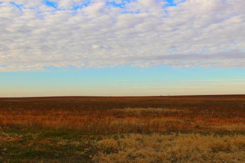 Hotel Southern Inn & Suites Lamesa