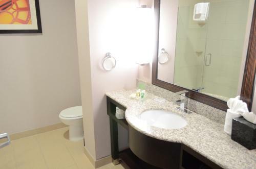 Hotel Holiday Inn Houston West - Westway Park
