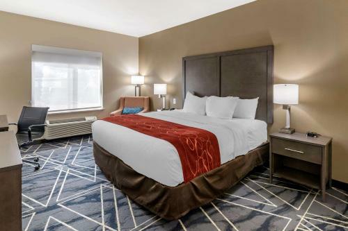 Hotel Quality Inn & Suites Lubbock