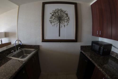 Hotel Doubletree By Hilton Midland Plaza