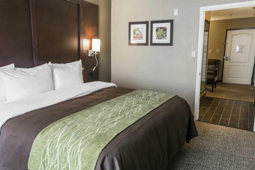 Hotel Comfort Inn & Suites Pharr/mcallen