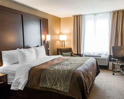 Hotel Comfort Inn & Suites Pharr/mcallen