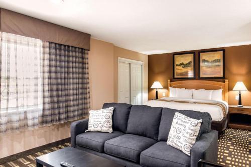 Hotel Quality Inn & Suites Plano