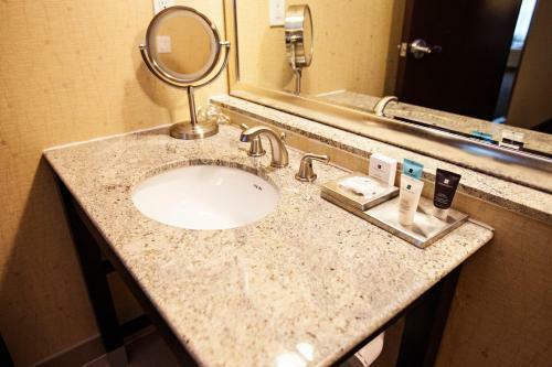 Hotel Crowne Plaza Houston Galleria