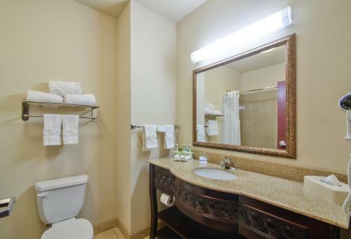Holiday Inn Express Hotel & Suites Terrell