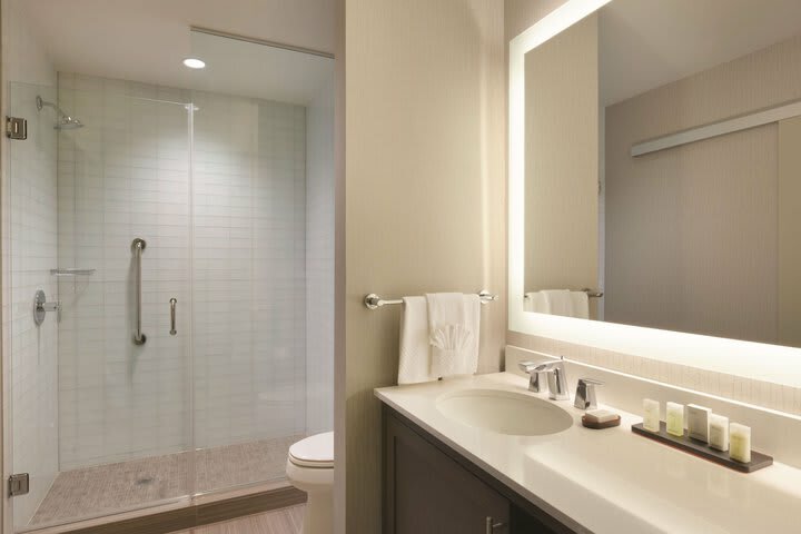 Hotel Embassy Suites By Hilton The Woodlands
