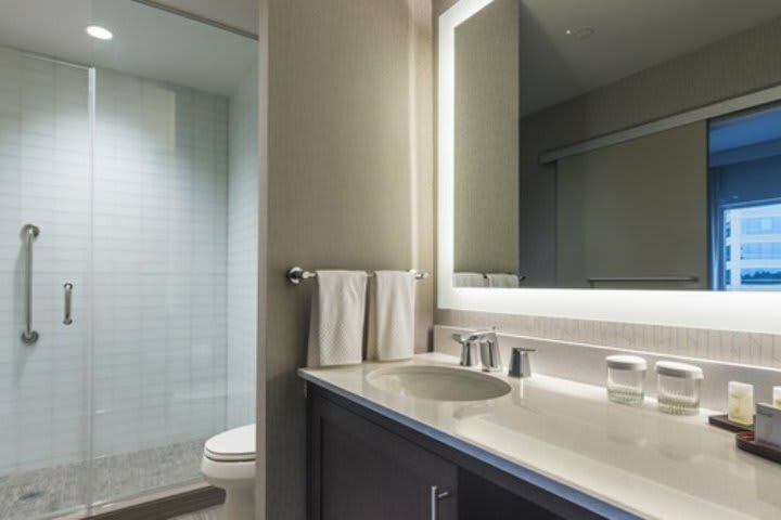 Hotel Embassy Suites By Hilton The Woodlands