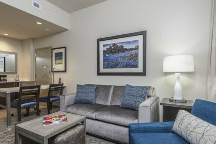 Hotel Embassy Suites By Hilton The Woodlands