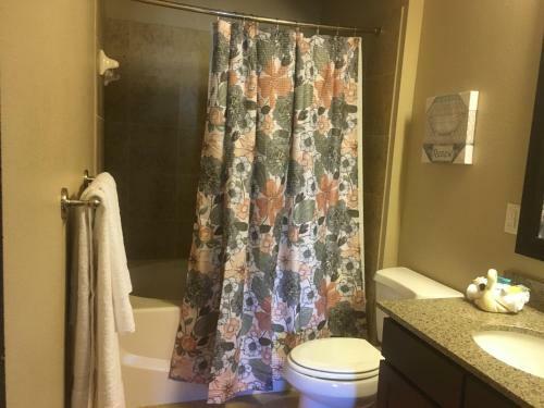 Resort Style Apartment/home - The Woodlands