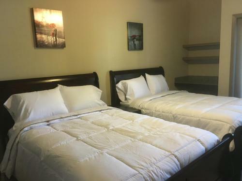 Resort Style Apartment/home - The Woodlands