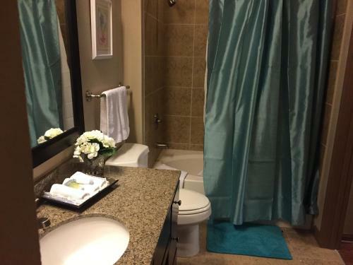 Resort Style Apartment/home - The Woodlands