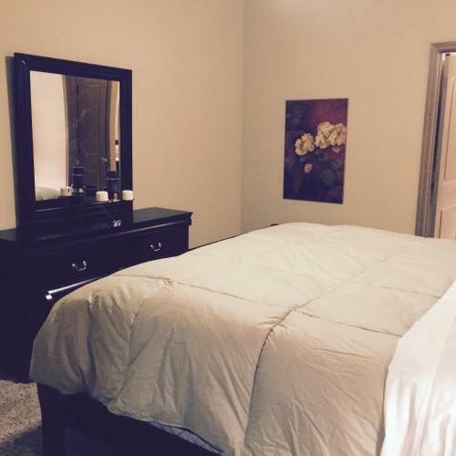 Resort Style Apartment/home - The Woodlands