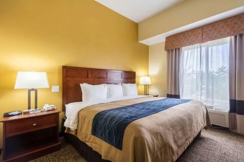 Hotel Comfort Inn And Suites Cedar City