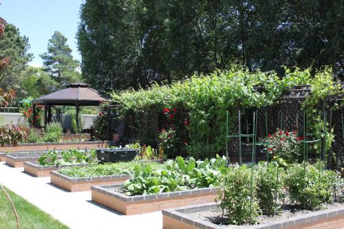 Apartamento Sunny Garden Homestay