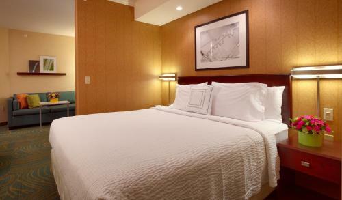 Hotel Springhill Suites By Marriott Salt Lake City Downtown
