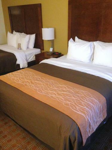 Hotel Comfort Inn Brattleboro