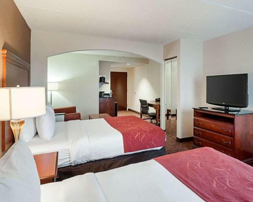 Hotel Comfort Suites Dulles Airport