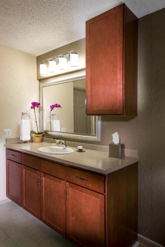 Apartamento Oakwood Falls Church