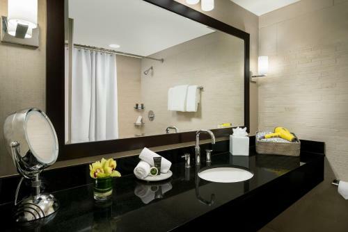 Hotel Hyatt Arlington