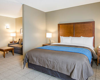 Hotel Comfort Inn & Suites Lynchburg