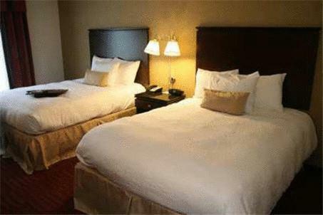 Hotel Hampton Inn Richmond - Airport