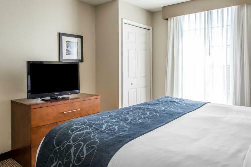 Hotel Comfort Suites Fredericksburg South
