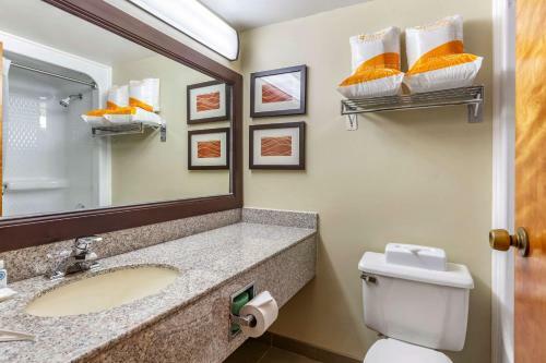 Hotel Comfort Inn Quantico Stafford