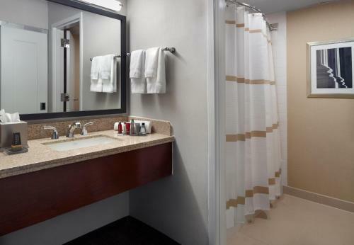 Hotel Washington Dulles Airport Marriott