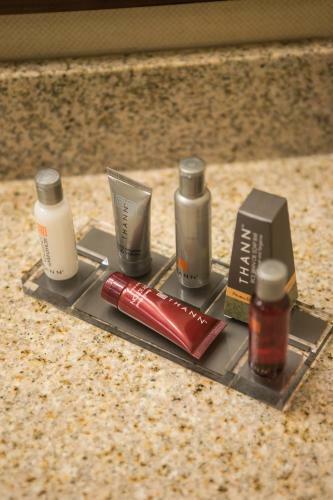 Hotel Washington Dulles Airport Marriott