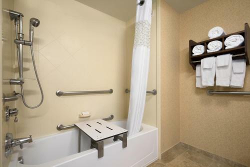 Hotel Hampton Inn & Suites Williamsburg-central
