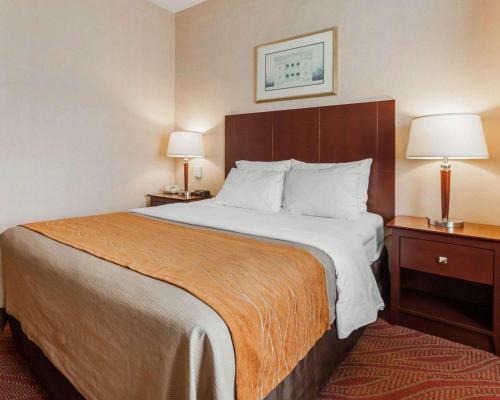Hotel Comfort Inn Kelso