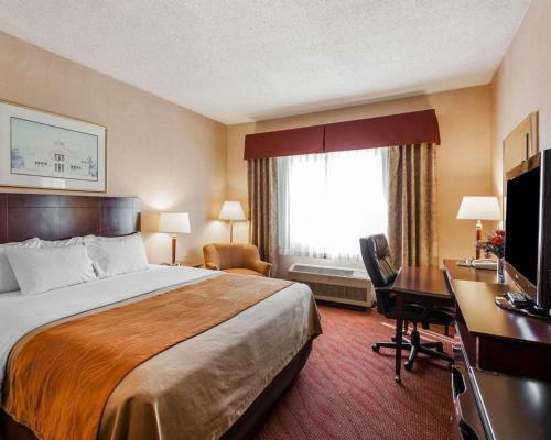 Hotel Comfort Inn Kelso
