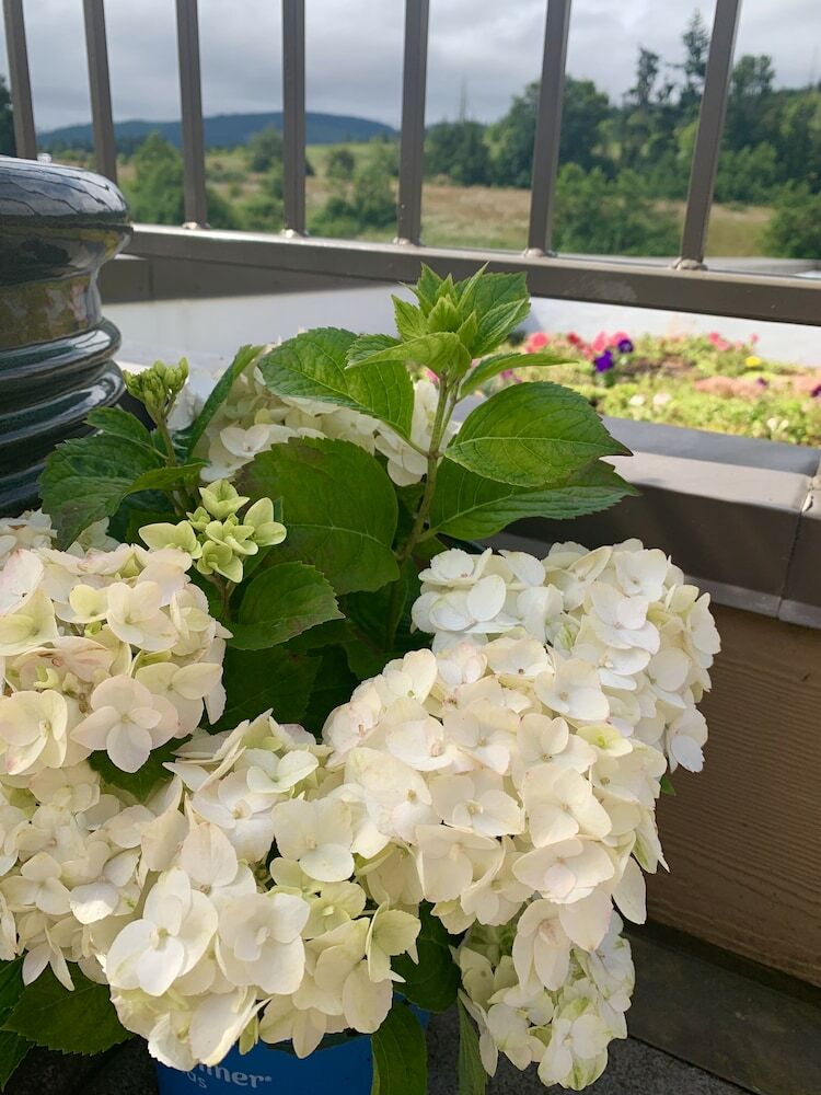 Holiday Inn Express Hotel & Suites North Sequim