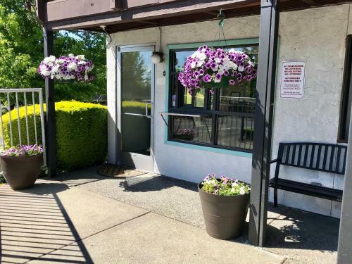 Posada Sea-tac Airport Value Inn
