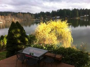 Cottage Lake Tree House Bed And Breakfast