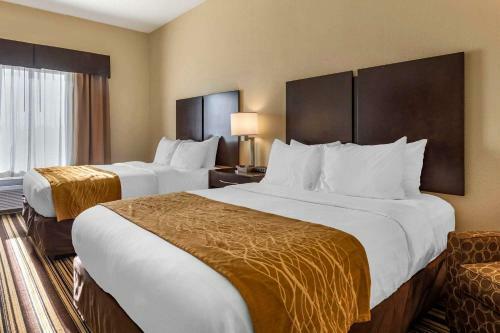 Hotel Comfort Inn & Suites