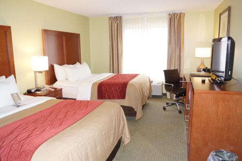 Hotel Comfort Inn & Suites Black River Falls I-94