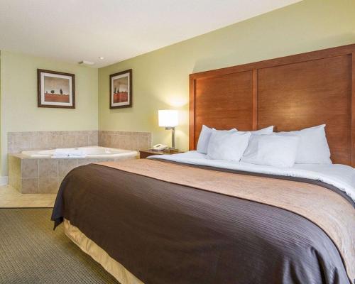 Hotel Comfort Inn & Suites Black River Falls I-94