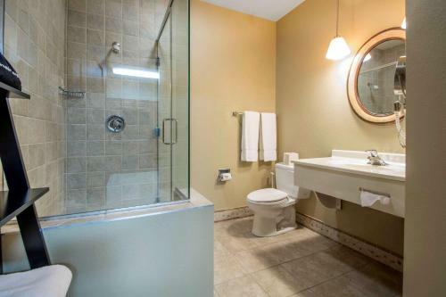 Hotel Bluegreen Odyssey Dells