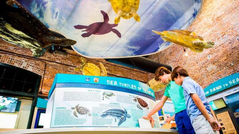 Hotel Holiday Inn Resort Jekyll Island
