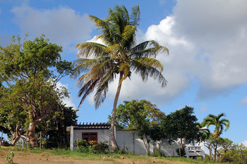 Hotel Hacienda Tamarindo