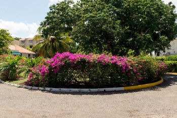 Apartamento Sky Box Beach Suite At Montego Bay Club
