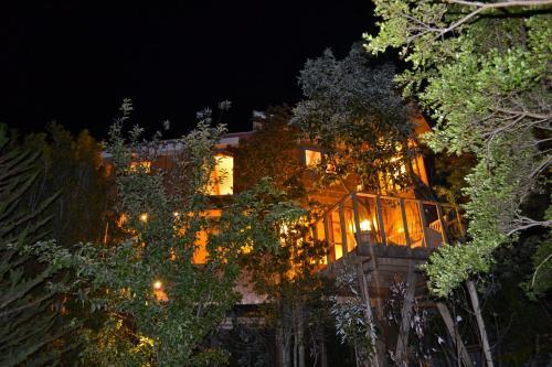 La Casa Del �rbol De Chilo�