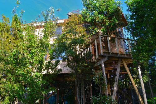 La Casa Del �rbol De Chilo�