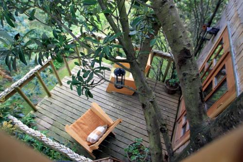 La Casa Del �rbol De Chilo�
