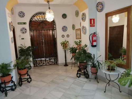 Hostal Maestre