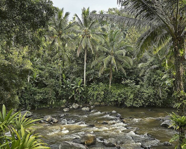 Hotel Four Seasons Resort Bali At Sayan